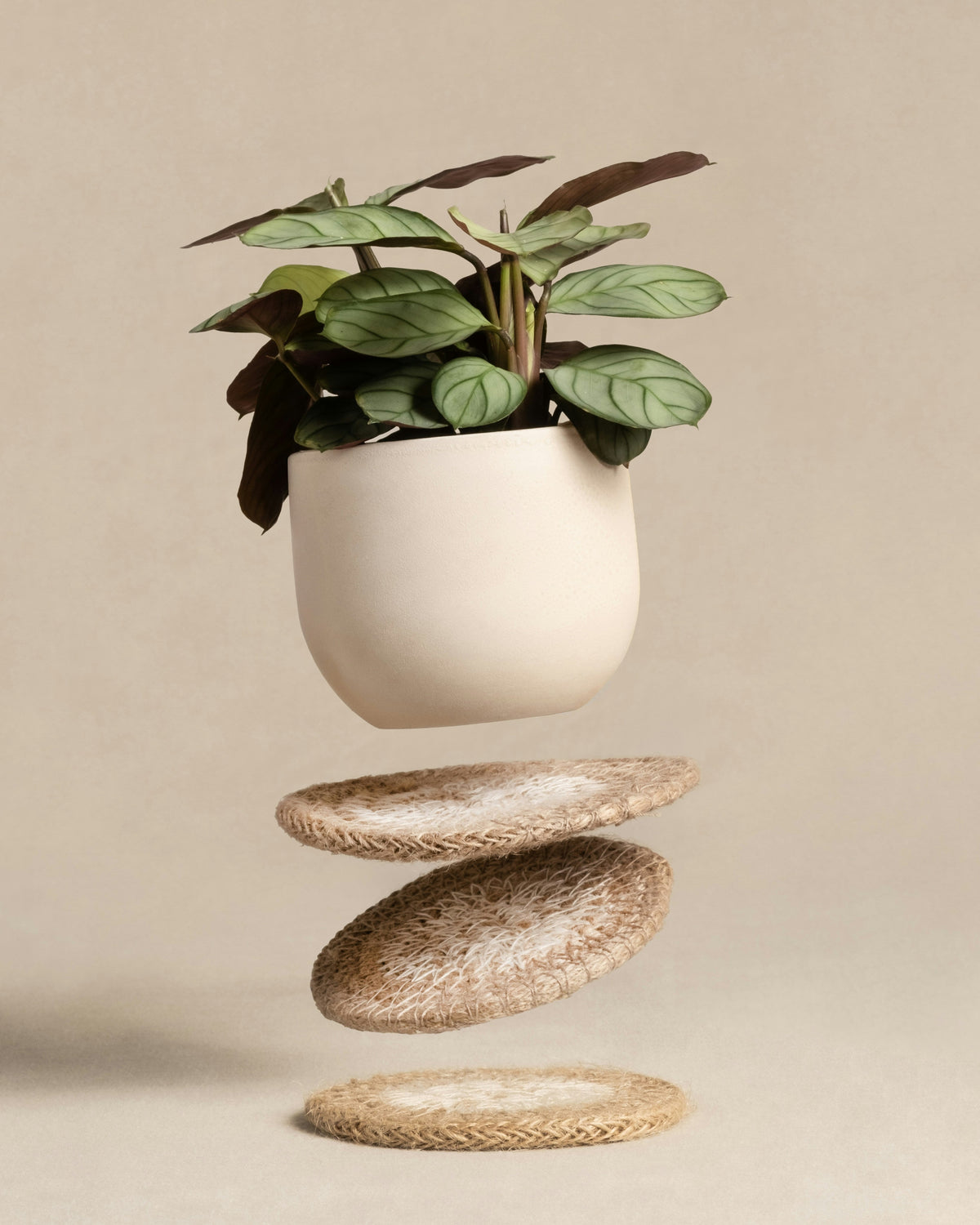 Jute Essentials